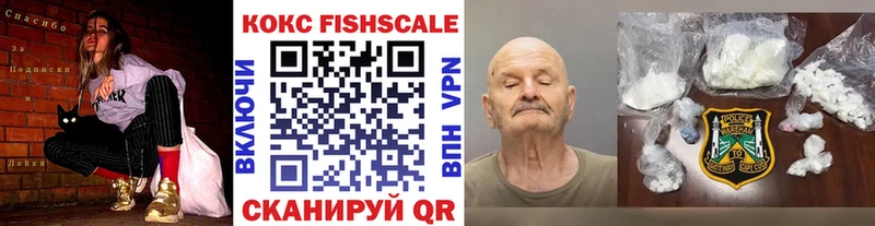 COCAIN Fish Scale  сайты даркнета состав  Новокузнецк  купить  