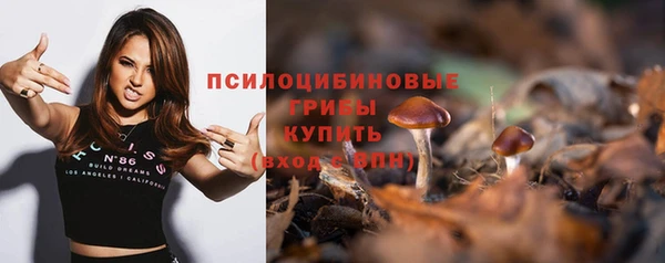 амф Абаза