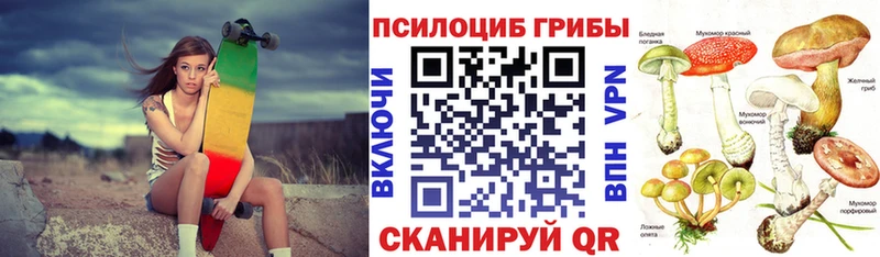 наркота  Новокузнецк  Галлюциногенные грибы мухоморы 