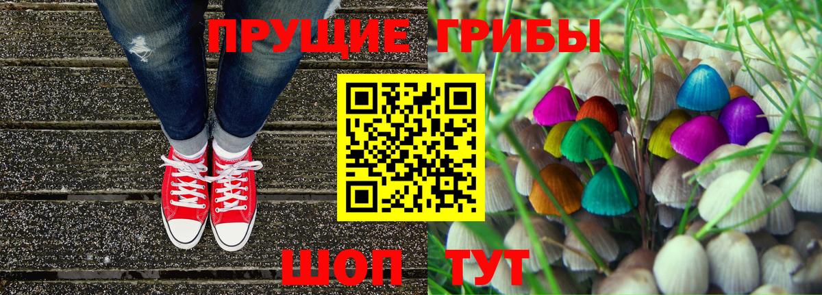 Новокузнецк  где купить   Вход с VPN  Галлюциногенные грибы Psilocybine cubensis 