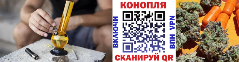Бошки марихуана сатива Новокузнецк